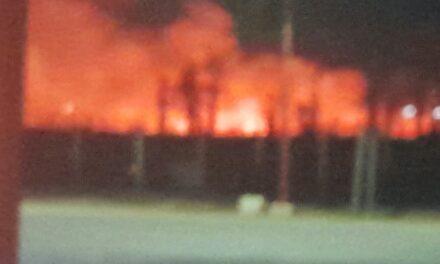 AHORA: impresionante incendio cerca del camping de San Martín