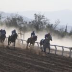 El Clásico Sarmiento se prepara para una edición récord con 14 caballos