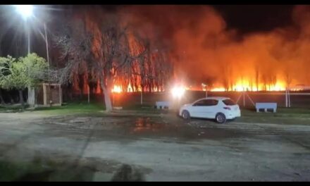 Incendio cerca del camping del SEC: el viento avivó las llamas y Bomberos logró controlar el fuego