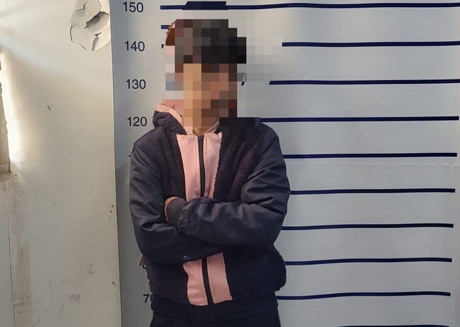 Detuvieron en Rawson a una joven acusada de robarle la billetera a un hombre de 71 años