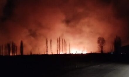 Iglesia: incendios se desataron en Tudcum y afectaron zonas rurales 