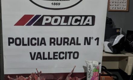 Cazadores mendocinos fueron sorprendidos con liebres, vizcachas y un ave protegida