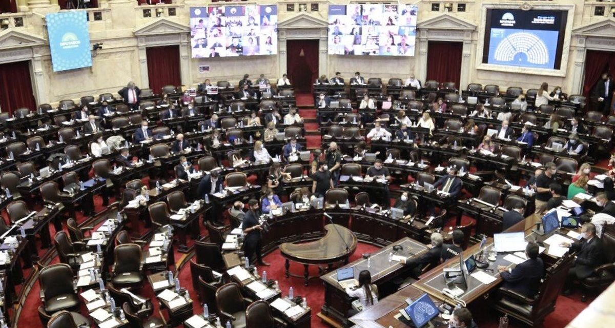 Diputados debate el presente y el futuro del deporte argentino