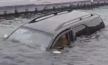 Sorpresa en Punta Negra: una camioneta terminó dentro del dique y quedó casi cubierta por el agua