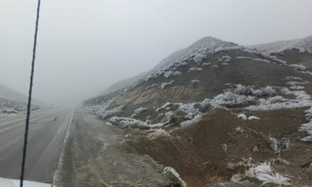 Así está el Alto del Colorado: hielo, escarcha y niebla complican el tránsito en la Ruta 149