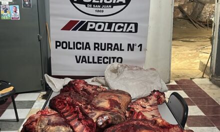 Lo frenaron en Vallecito con 80 kilos de carne sin cadena de frío