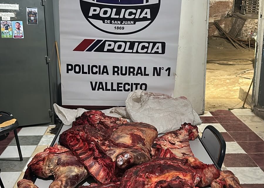 Lo frenaron en Vallecito con 80 kilos de carne sin cadena de frío