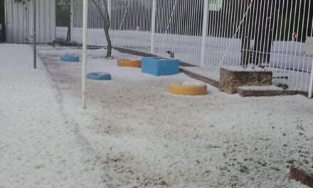 Valle Fértil quedó cubierto de blanco tras una impresionante caída de granizo