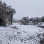 La nieve volvió a cubrir sectores de Iglesia: nieva desde la madrugada en Los Nógales y el camino a El Colorado