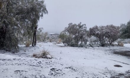 La nieve volvió a cubrir sectores de Iglesia: nieva desde la madrugada en Los Nógales y el camino a El Colorado