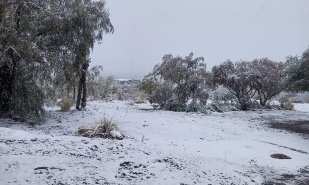 La nieve volvió a cubrir sectores de Iglesia: nieva desde la madrugada en Los Nógales y el camino a El Colorado