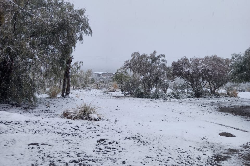 La nieve volvió a cubrir sectores de Iglesia: nieva desde la madrugada en Los Nógales y el camino a El Colorado