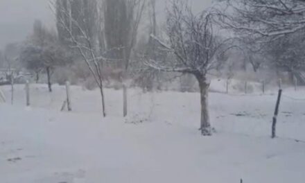 Valle Fértil amaneció con nieve y frío intenso en una jornada marcada por el temporal