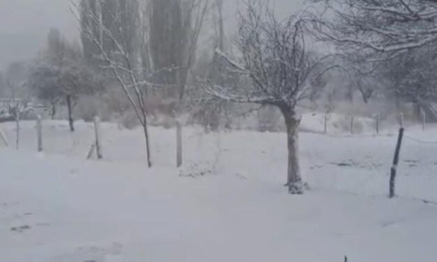 Valle Fértil amaneció con nieve y frío intenso en una jornada marcada por el temporal