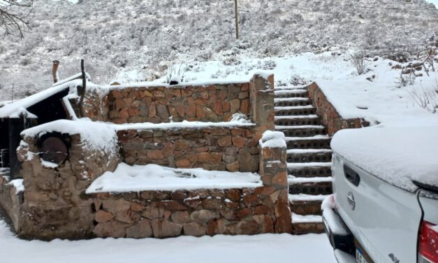 El Silencio se tiñó de blanco y dejó una postal distinta en Valle Fértil