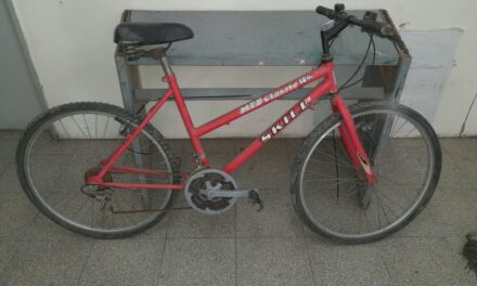 Una pelea familiar terminó con el secuestro de una bicicleta de dudosa procedencia
