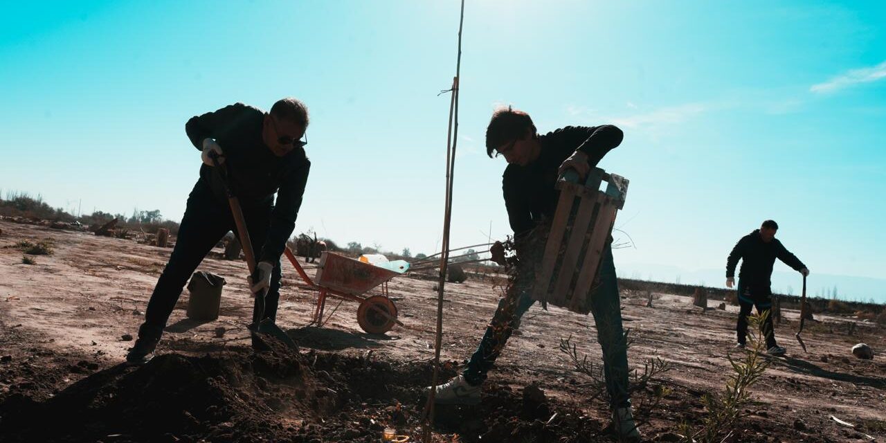 Primavera con las manos en la tierra: El Mogote invita a una jornada de voluntariado verde