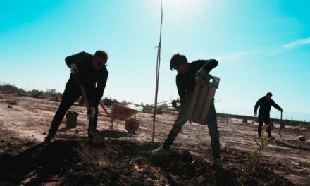 Primavera con las manos en la tierra: El Mogote invita a una jornada de voluntariado verde