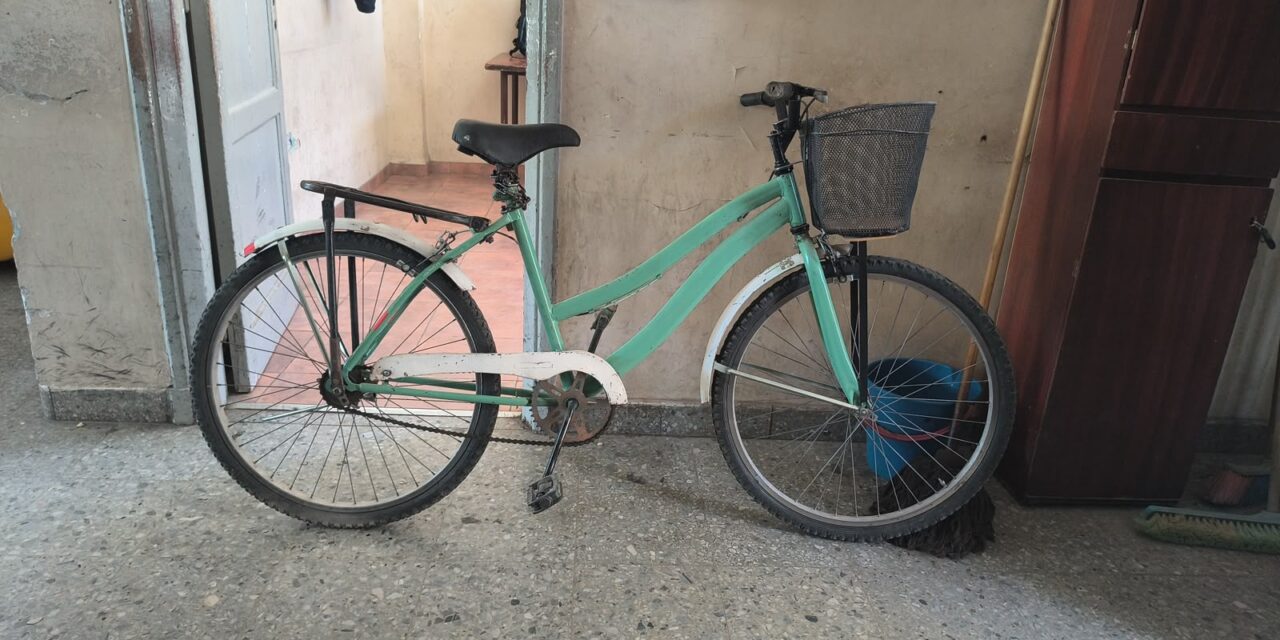 Intentó llevarse una bicicleta de un local y fue detenido por la Policía en Chimbas