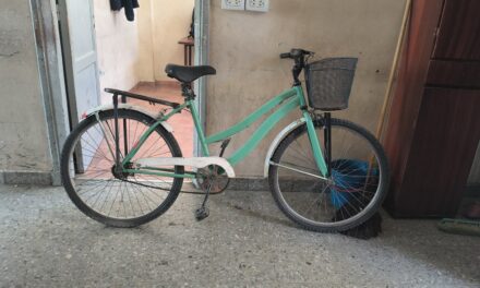 Intentó llevarse una bicicleta de un local y fue detenido por la Policía en Chimbas
