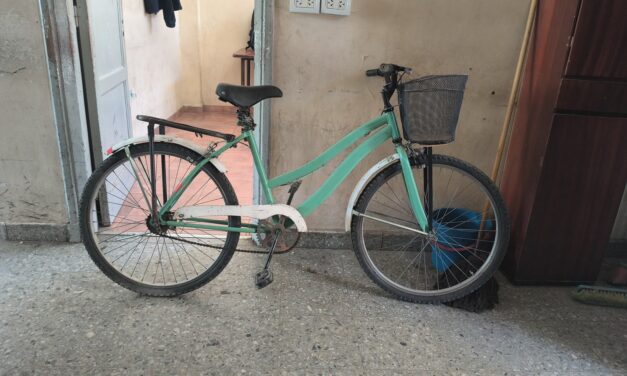 Intentó llevarse una bicicleta de un local y fue detenido por la Policía en Chimbas