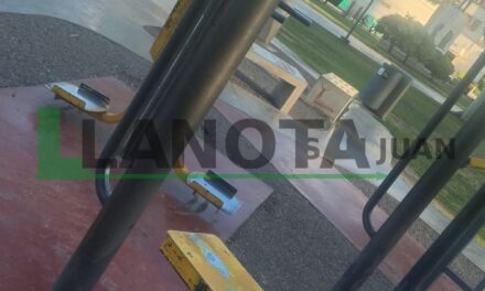 Indignación en el Parque de Mayo: se robaron las pesas de la plaza saludable y destrozaron los equipos