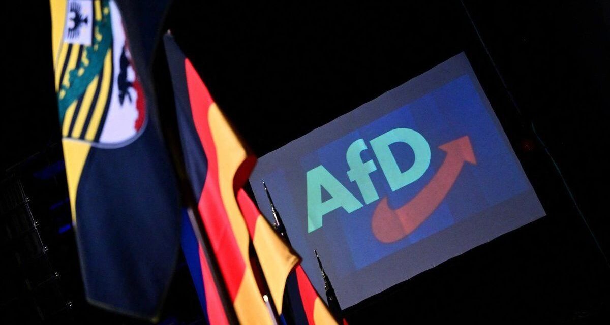 AfD, el partido alemán de ultraderecha que busca romper con Europa