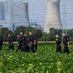 Alemania sufrió un nuevo intento de sabotaje en su red eléctrica