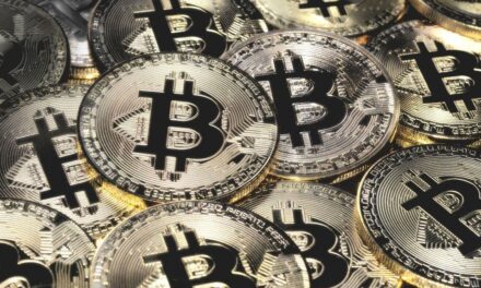 Un joven se declaró culpable del mayor robo de bitcoins de EEUU por u$s240 millones