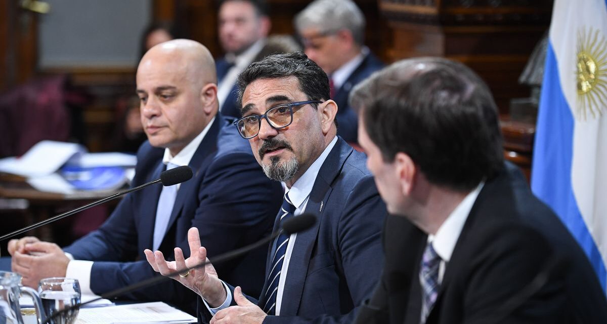 El Gobierno explicó en el Congreso el proceso de privatizaciones y anticipó que volverían a licitar Intercargo por un menor precio