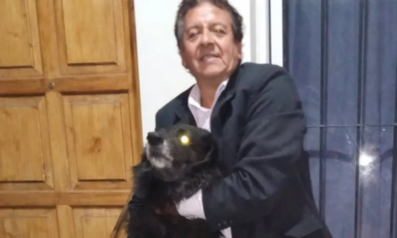 Identificaron al hombre que fue encontrado muerto dentro de una combi en Albardón