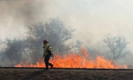 La Justicia confirmó que los incendios fueron intencionales y ya trabaja sobre dos hipótesis para encontrar a los responsables