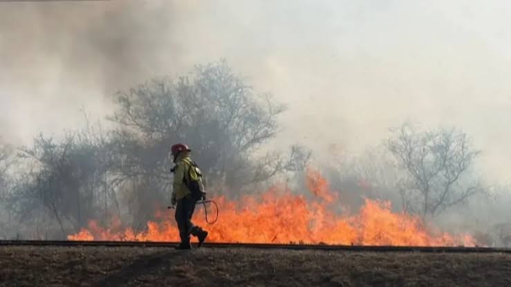 La Justicia confirmó que los incendios fueron intencionales y ya trabaja sobre dos hipótesis para encontrar a los responsables