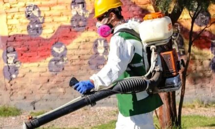Capital avanza con operativos de desinsectación y desratización en distintos sectores