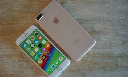 Intentó robar un iPhone a punta de cuchillo y terminó condenado a prisión efectiva en Albardón