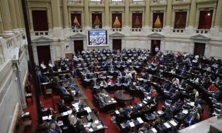 Discapacidad: aliados presentaron un proyecto para dejar atrás la emergencia y crear un sistema permanente
