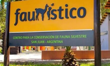 Hallaron posibles explosivos cerca del Parque Faunístico y activaron un fuerte operativo