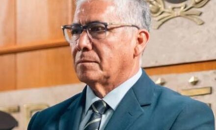 Delgado explicó cómo funcionará el nuevo régimen penal juvenil y qué rol tendrá Seguridad