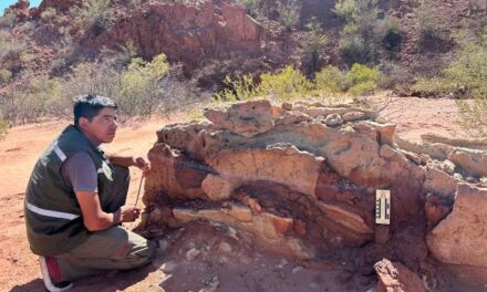 La UNSJ avanza con un acuerdo para fortalecer la conservación del patrimonio natural