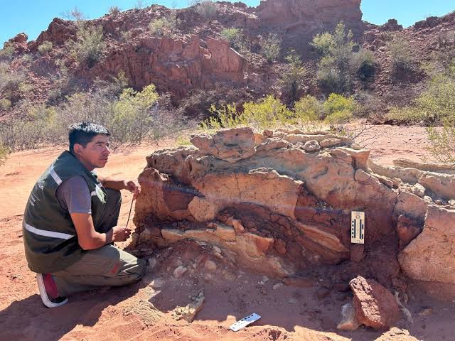 La UNSJ avanza con un acuerdo para fortalecer la conservación del patrimonio natural