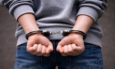 El régimen penal juvenil avanza y definen quién controlará a los adolescentes