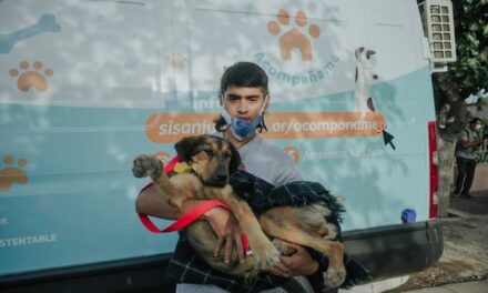 El quirófano móvil llega a Rivadavia para esterilizar perros y gatos de manera gratuita