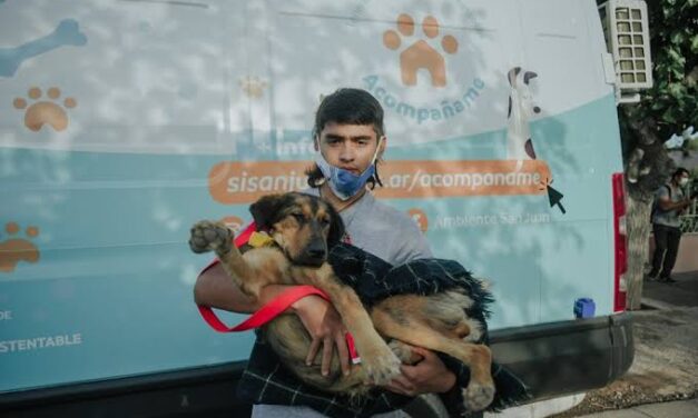 El quirófano móvil llega a Rivadavia para esterilizar perros y gatos de manera gratuita