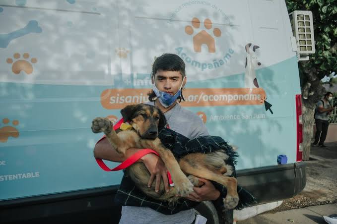 El quirófano móvil llega a Rivadavia para esterilizar perros y gatos de manera gratuita