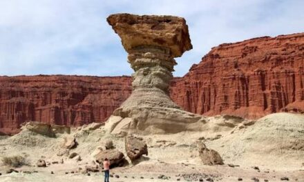 El embajador de Tailandia quedó sorprendido con Ischigualasto y destacó a San Juan como destino para vivir