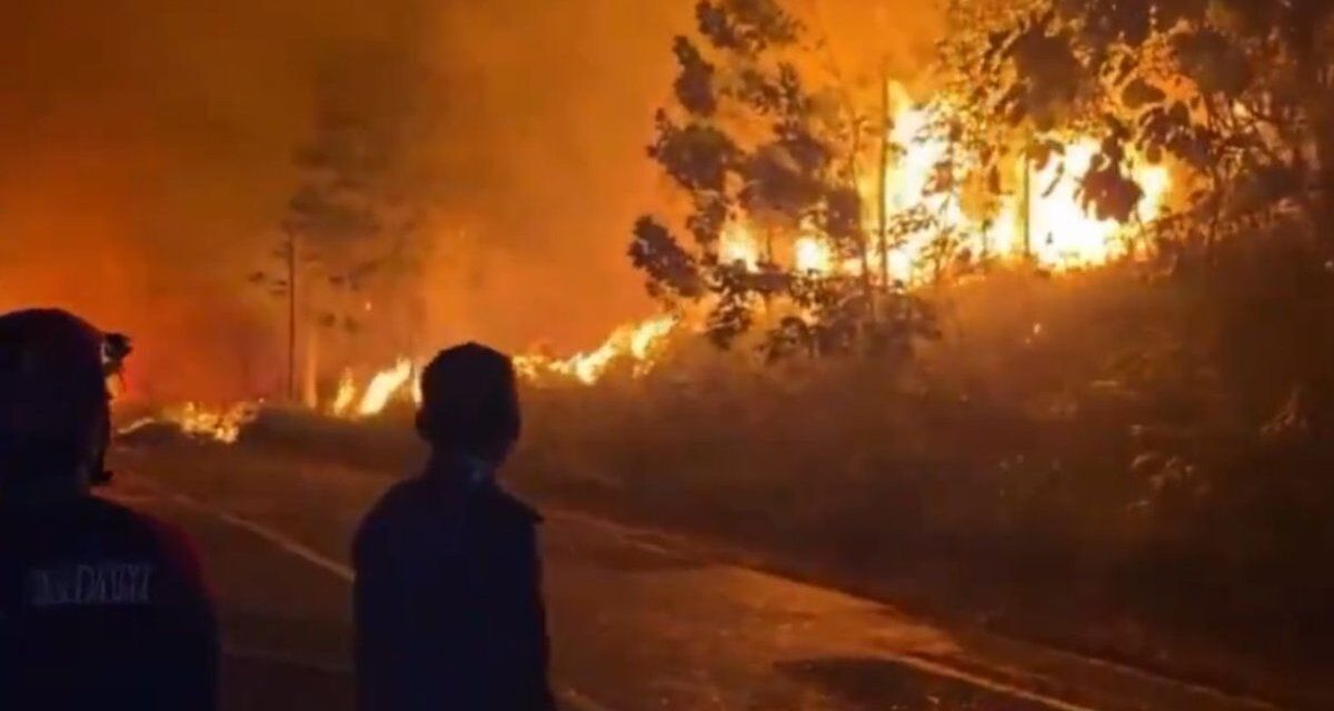 Una neblina tóxica avanza al sudeste asiático mientras se intensifica El Súper Niño