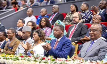 El mercado africano representa una potencialidad para lo que Argentina ya hace