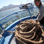 Piden garantizar un sistema que prestigie la producción local
