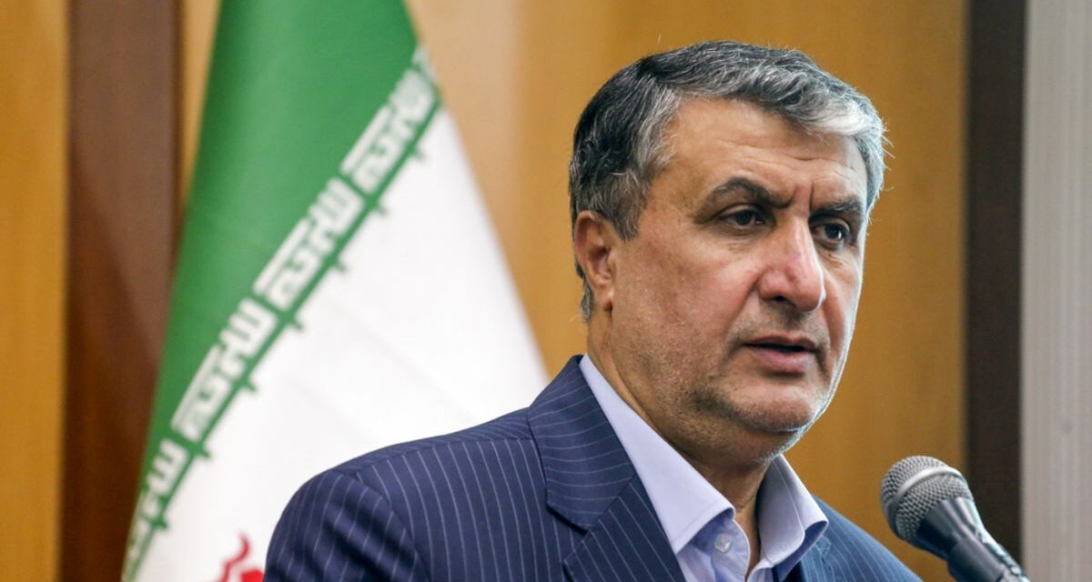 Irán denunció a EEUU y Austria por impedir la participación de su jefe nuclear