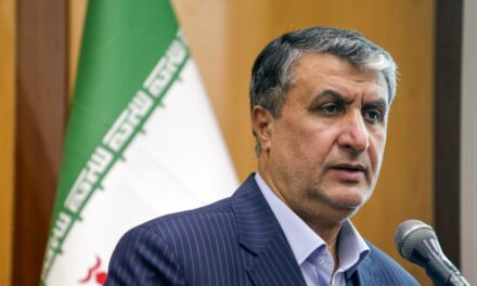 Irán denunció a EEUU y Austria por impedir la participación de su jefe nuclear